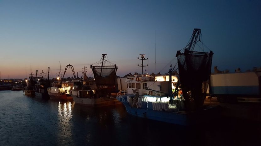  - 2017 08 08 TEL VLAD CO MARE