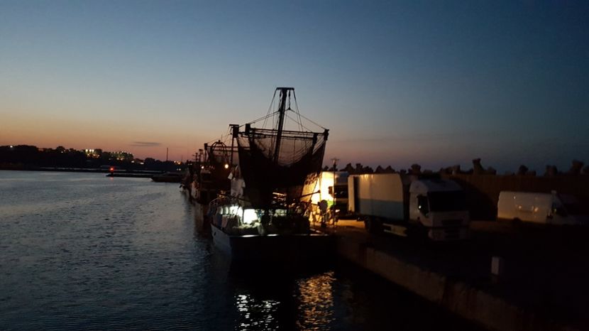  - 2017 08 08 TEL VLAD CO MARE