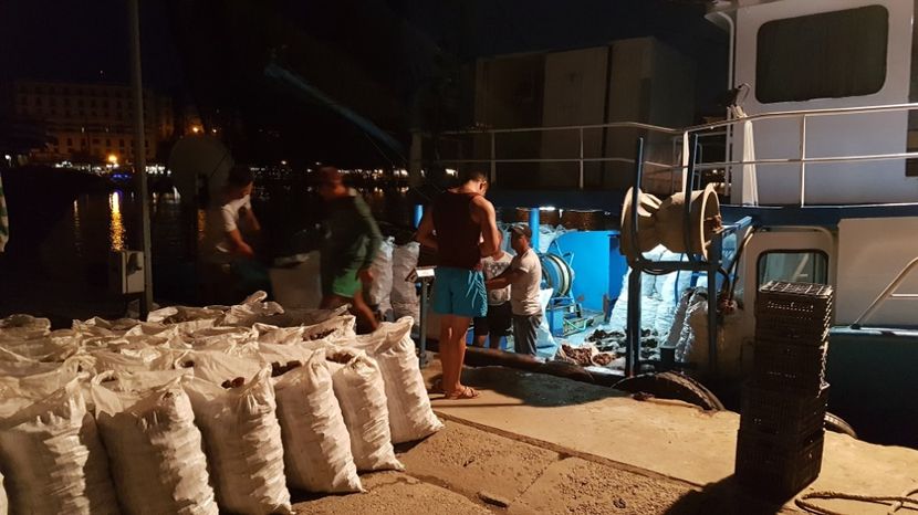  - 2017 08 08 TEL VLAD CO MARE