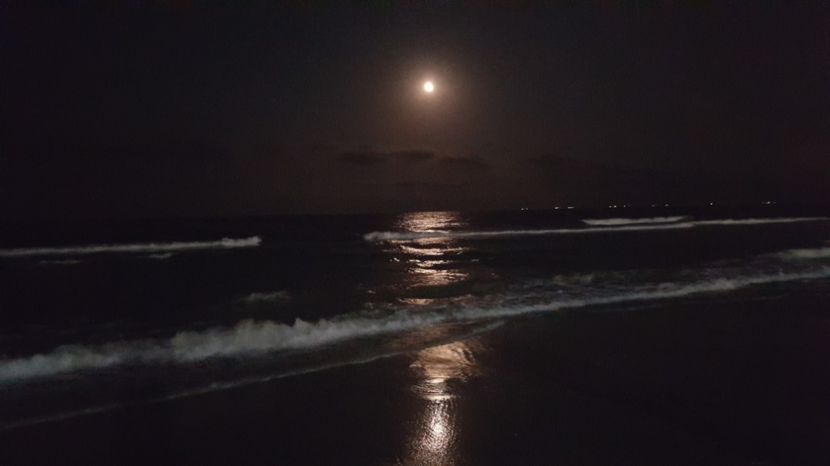  - 2017 08 08 TEL VLAD CO MARE