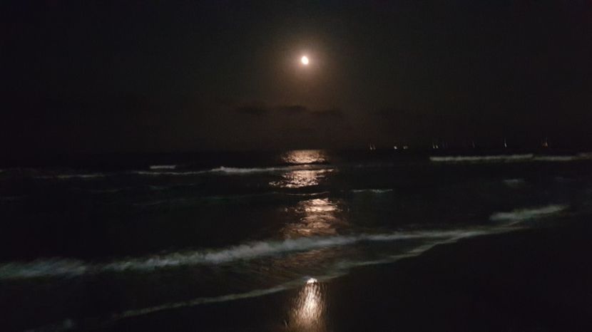  - 2017 08 08 TEL VLAD CO MARE