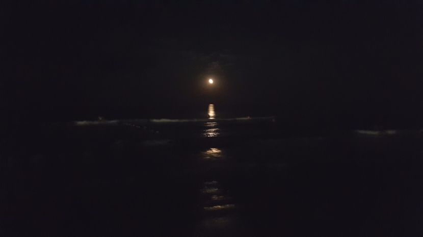  - 2017 08 08 TEL VLAD CO MARE