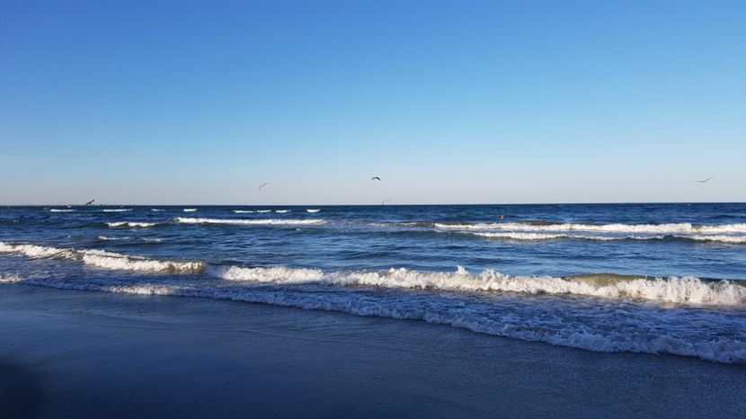  - 2017 08 08 TEL VLAD CO MARE