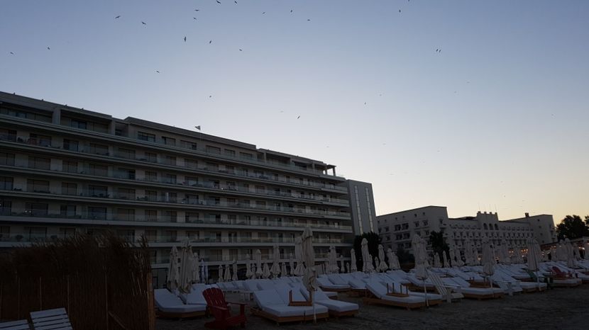  - 2017 08 08 TEL VLAD CO MARE