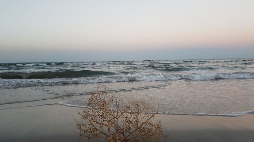  - 2017 08 08 TEL VLAD CO MARE