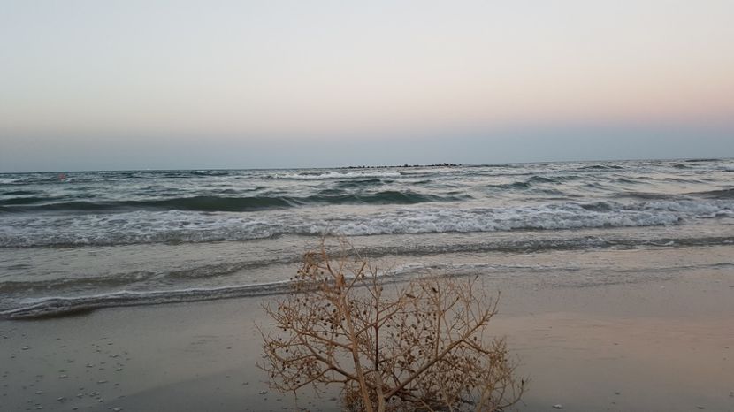  - 2017 08 08 TEL VLAD CO MARE