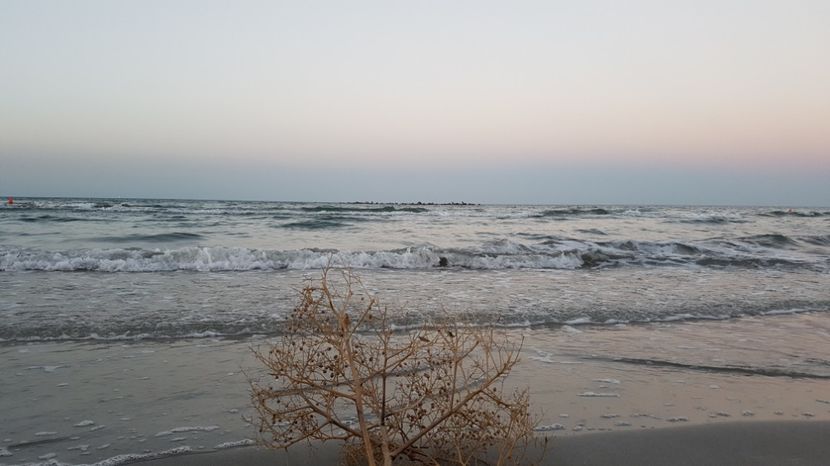  - 2017 08 08 TEL VLAD CO MARE