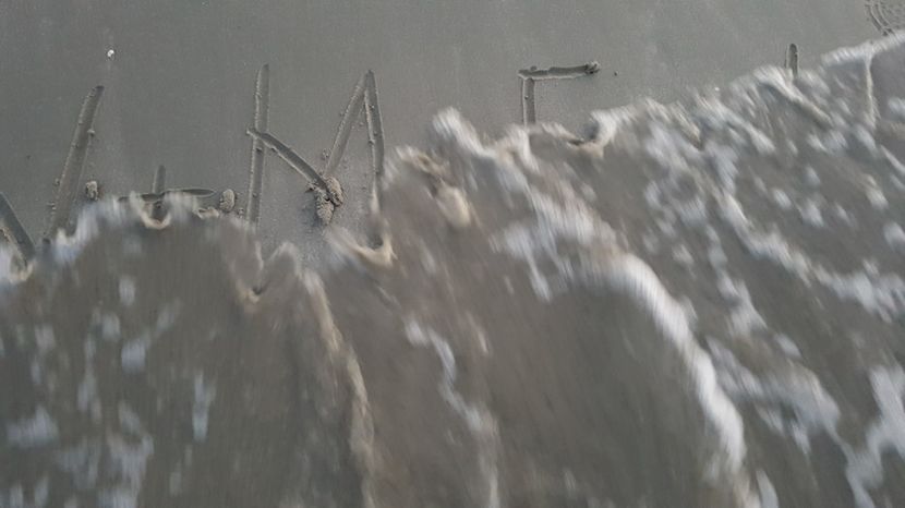  - 2017 08 08 TEL VLAD CO MARE