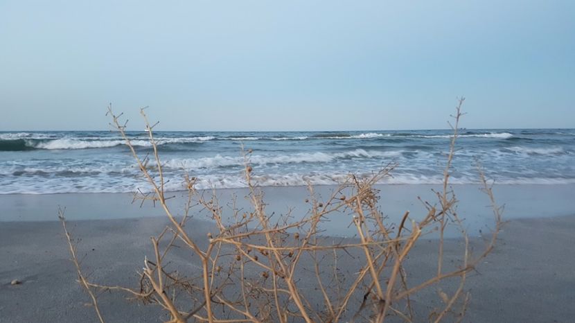  - 2017 08 08 TEL VLAD CO MARE