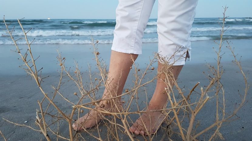  - 2017 08 08 TEL VLAD CO MARE