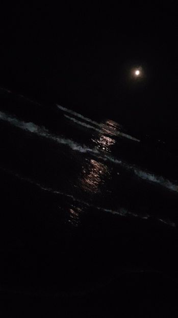 Snapchat-1510019784 - 2017 08 08 TEL VLAD CO MARE