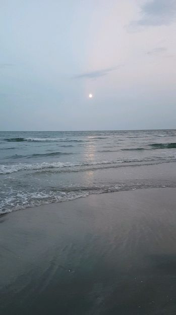 Snapchat-2100443921 - 2017 08 08 TEL VLAD CO MARE