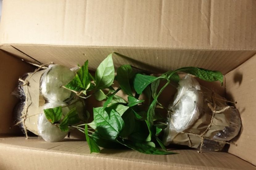 pt Marina (5) - aa provizoriu2