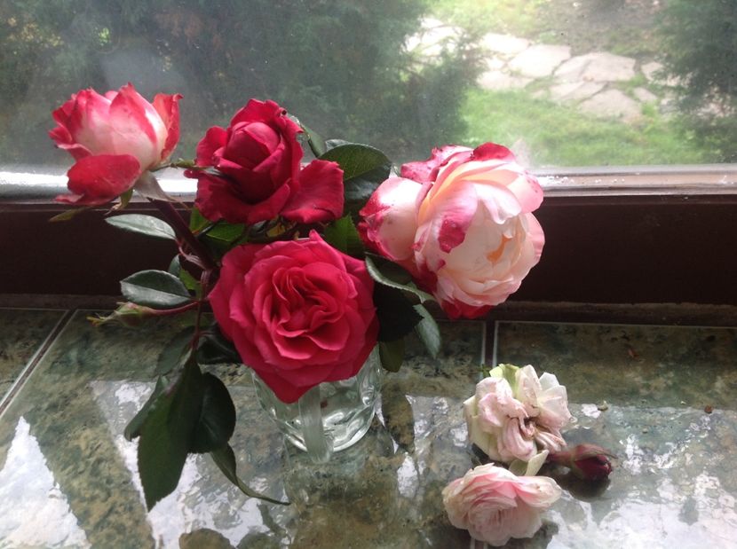  - Trandafirii din buchet