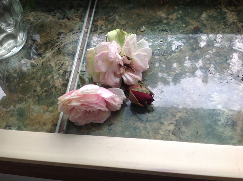  - Trandafirii din buchet