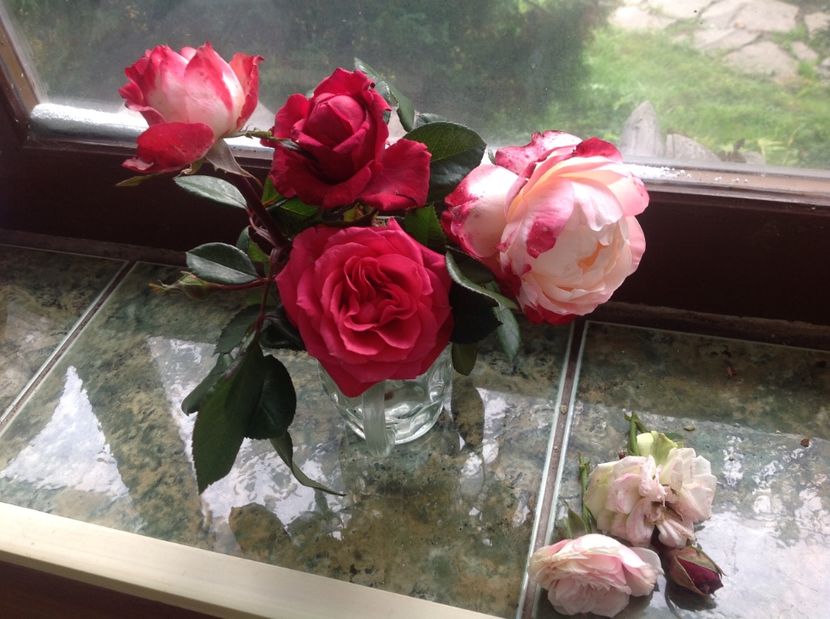  - Trandafirii din buchet