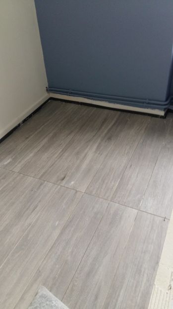  - Lucrari in Lyon 2018