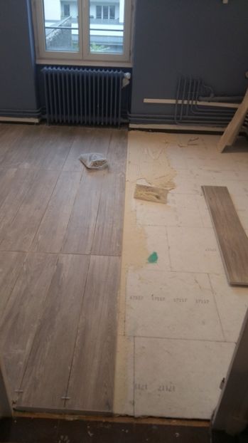  - Lucrari in Lyon 2018