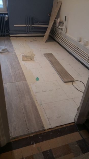  - Lucrari in Lyon 2018