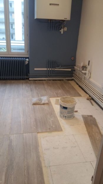  - Lucrari in Lyon 2018