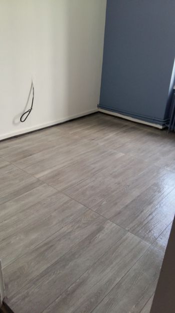  - Lucrari in Lyon 2018