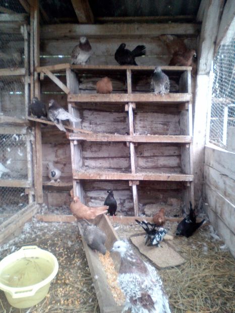  - N_-_NOILE ACHIZITI