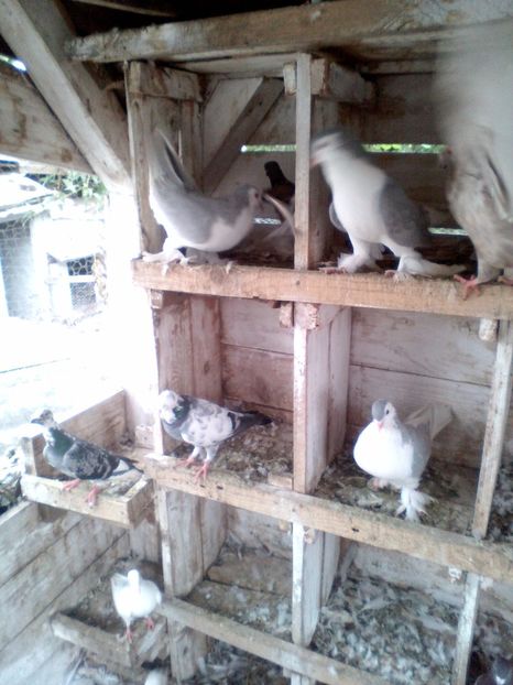  - N_-_NOILE ACHIZITI