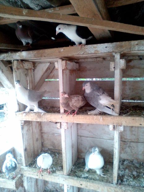  - N_-_NOILE ACHIZITI