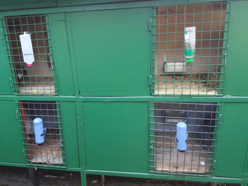 Modelul 2 - Custile mele - iepuri