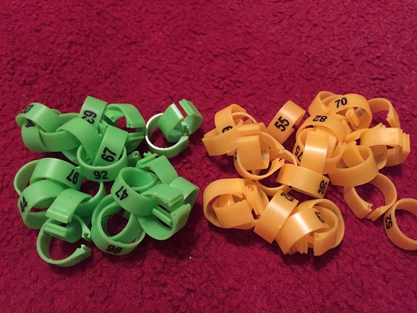 Cleme 14 mm-35 lei 50 buc - Cleme cu număr 8 mm