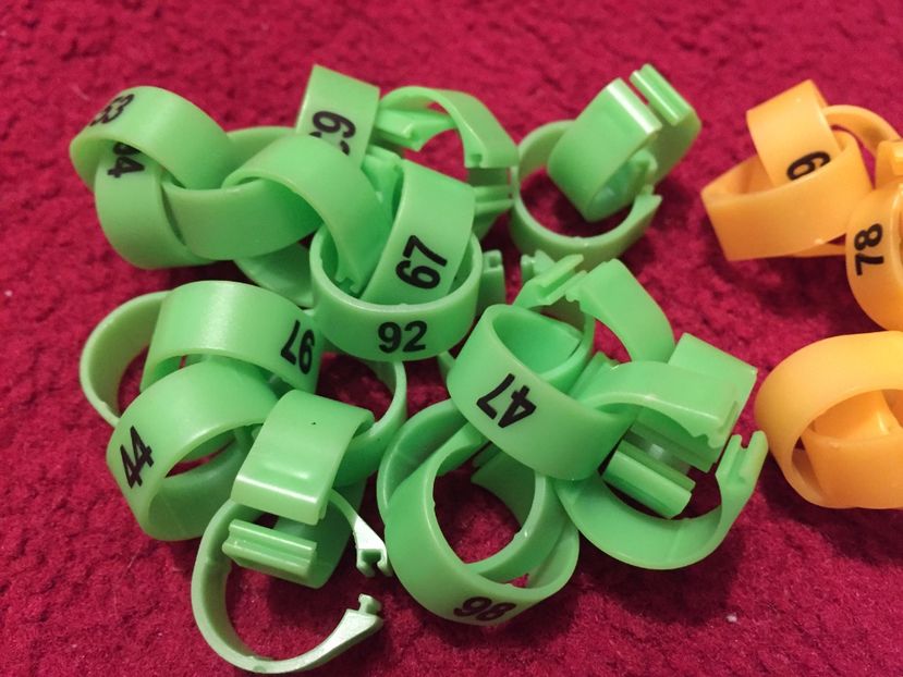  - Cleme cu număr 8 mm