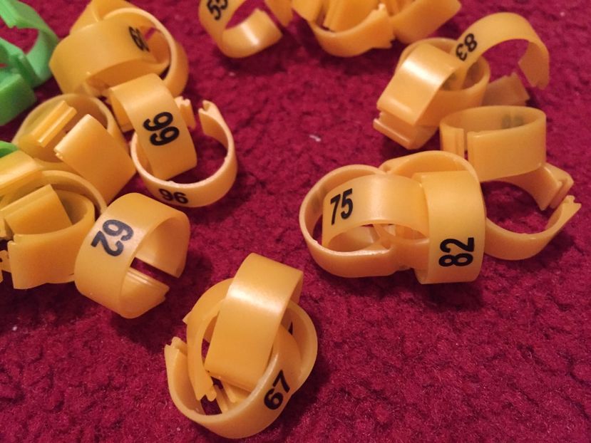 Cleme 14 mm 35 lei 50 buc - Cleme cu număr 8 mm