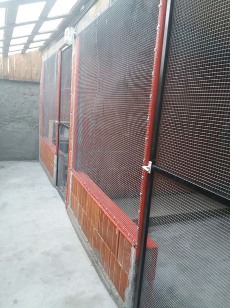 Final.voliera noua - VOLIERA MEA MODESTA