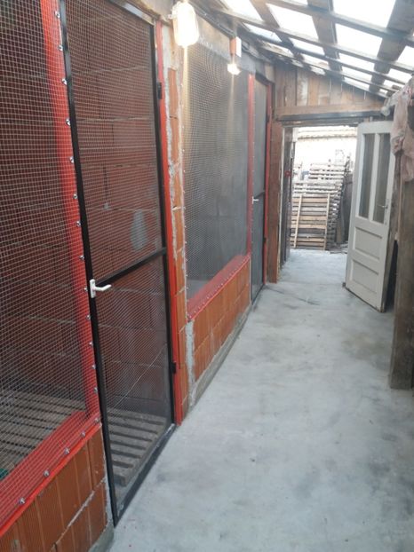 MG.LOFT - VOLIERA MEA MODESTA