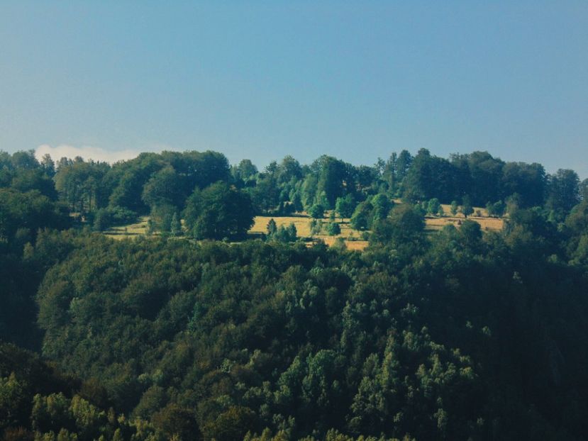  - Photo 09