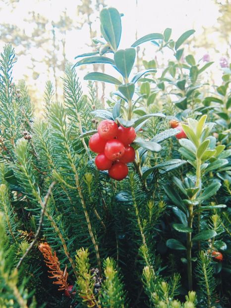  - Photo 09