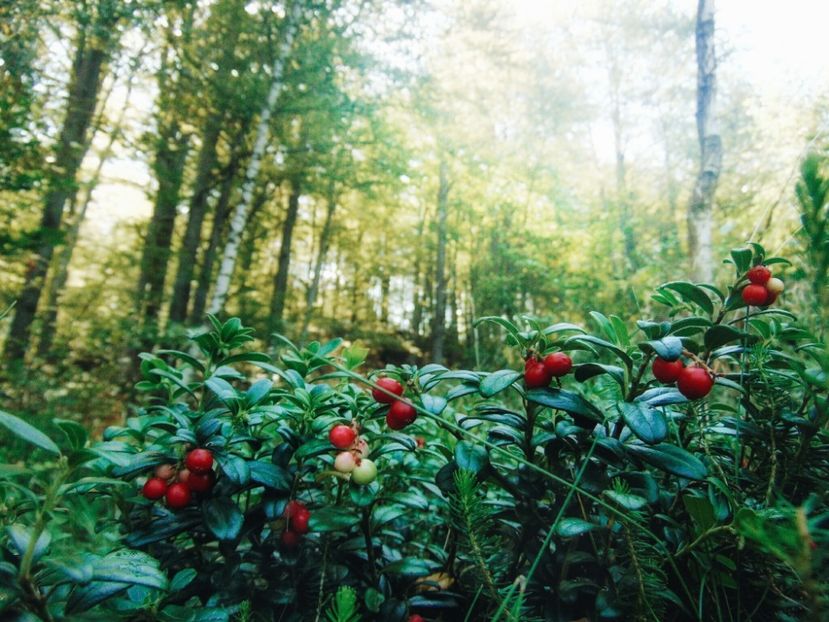  - Photo 09