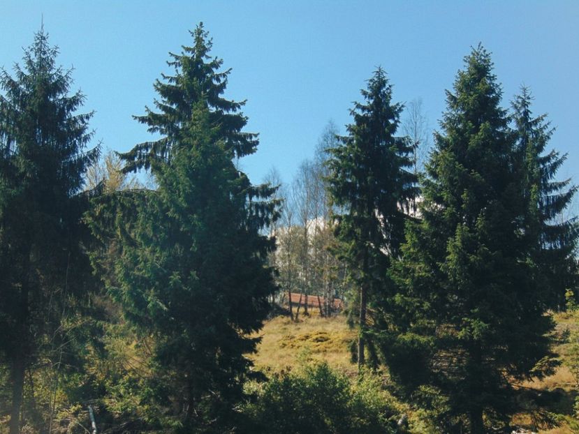  - Photo 09