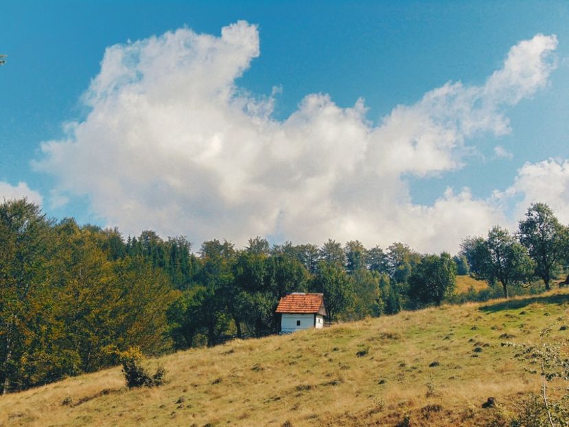  - Photo 09