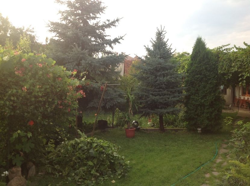  - Arhiva foto