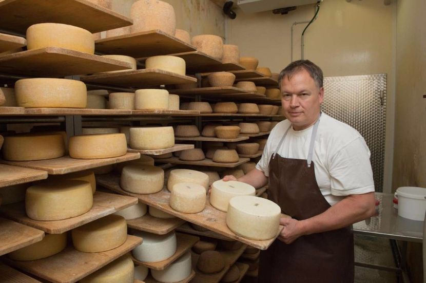 Cascaval de capra bun si dulce - Rase de oi si capre poze deosebite 14