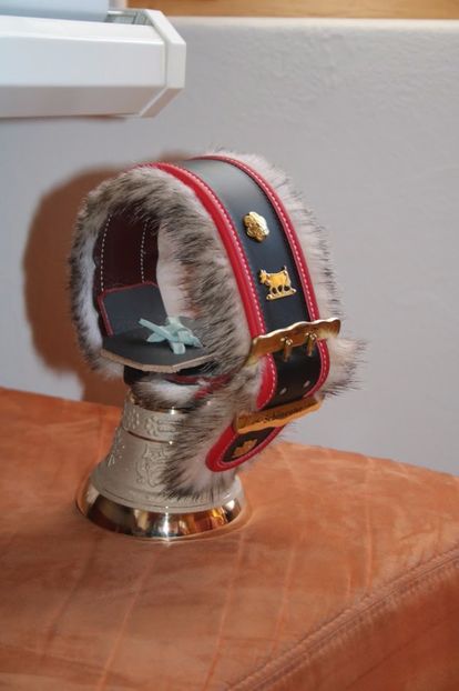 Curea ce sa mai zici,,,, - Rase de oi si capre poze deosebite 14