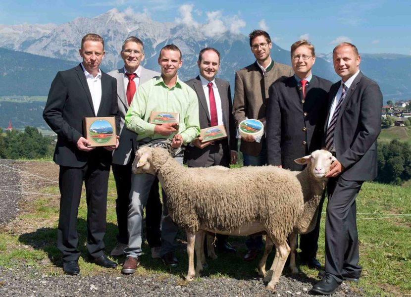 Oi de lapte-bu77 - Rase de oi si capre poze deosebite 14