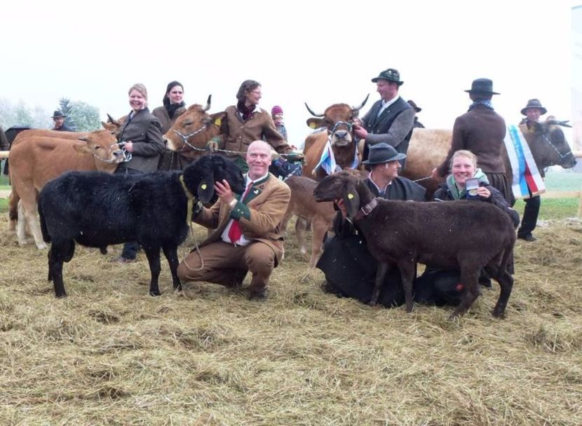 Oi si vacute frumoase-732 - Rase de oi si capre poze deosebite 14