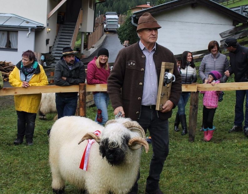 Premii frumoase cu Bot-Negru - Rase de oi si capre poze deosebite 14