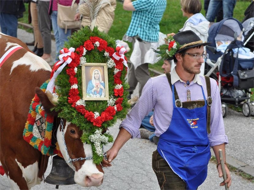 si noi santem la fel ca si ei,,,,exact - Rase de oi si capre poze deosebite 14