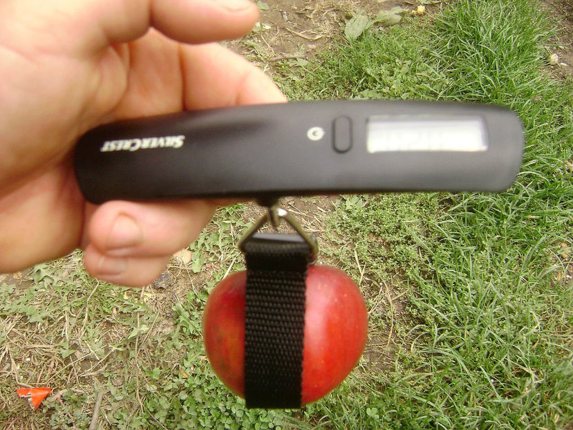 Cântar digital 1 - Cântar digital de mână