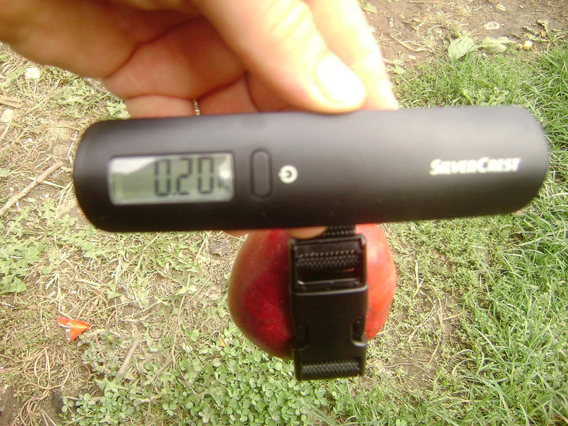 Cântar digital - Cântar digital de mână