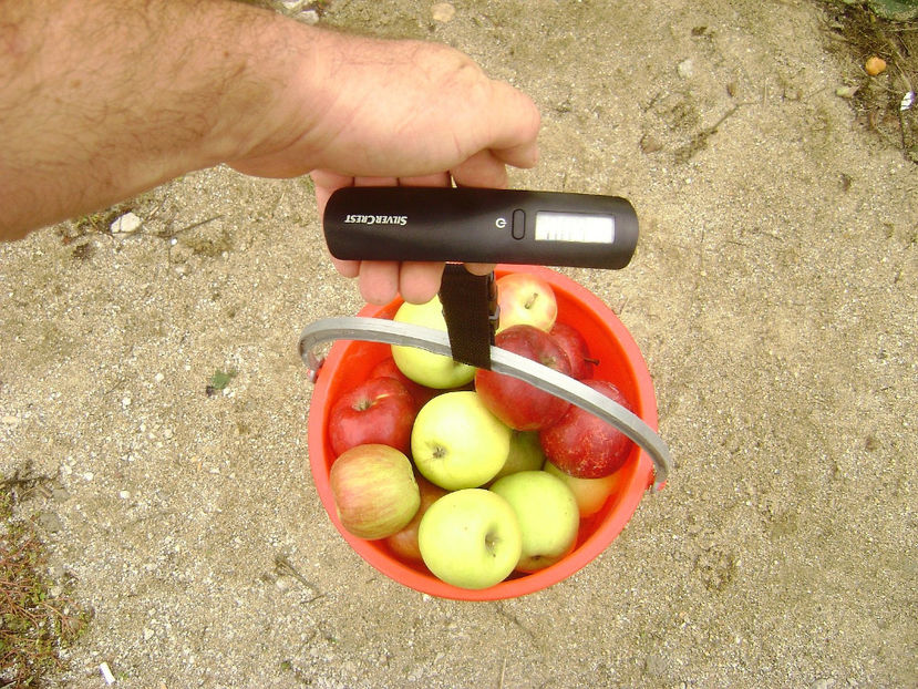 Cântar digital 2 - Cântar digital de mână