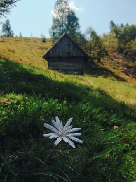  - Photo 09